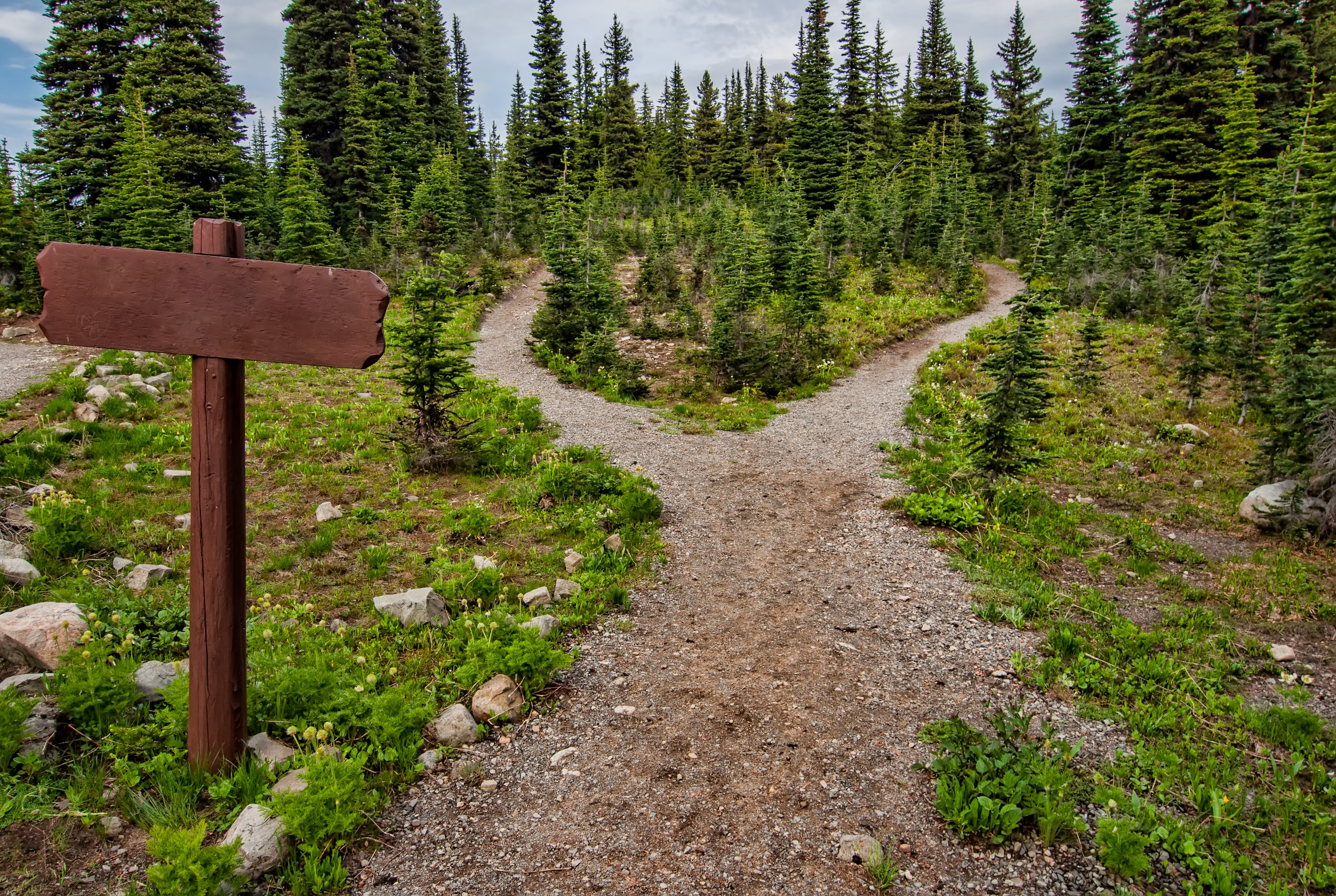 Signpost